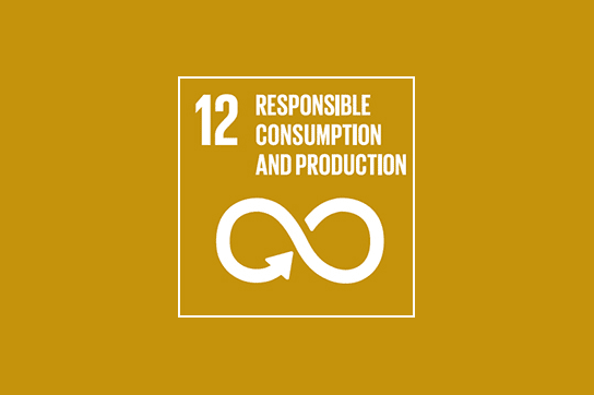 UN SDG Goal no 12